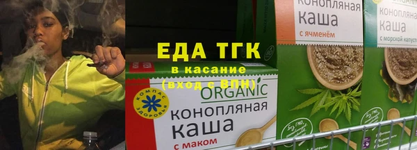 индика Карпинск