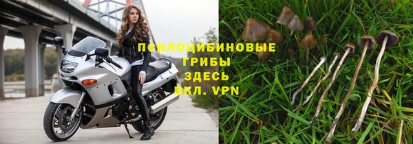 спайс Магадан