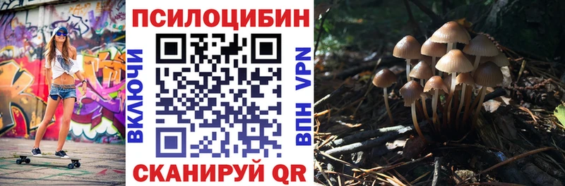 гидра ССЫЛКА  Ленинск-Кузнецкий  Галлюциногенные грибы Psilocybine cubensis 