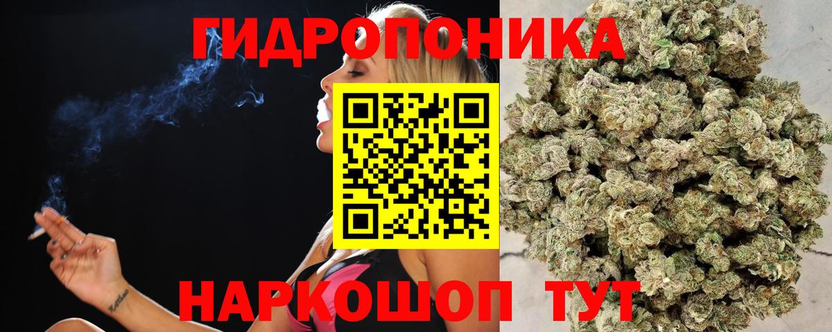 Ленинск-Кузнецкий  Конопля White Widow  Конопля OG Kush  Конопля конопля  Вход с VPN 